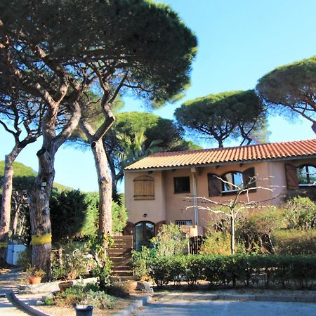 Ferienwohnung Triplex Le Port D'Hyeres-400M-Clim Wifi Parking By Hc Exterior foto