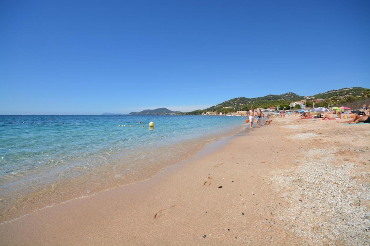 Ferienwohnung Triplex Le Port D'Hyeres-400M-Clim Wifi Parking By Hc Exterior foto